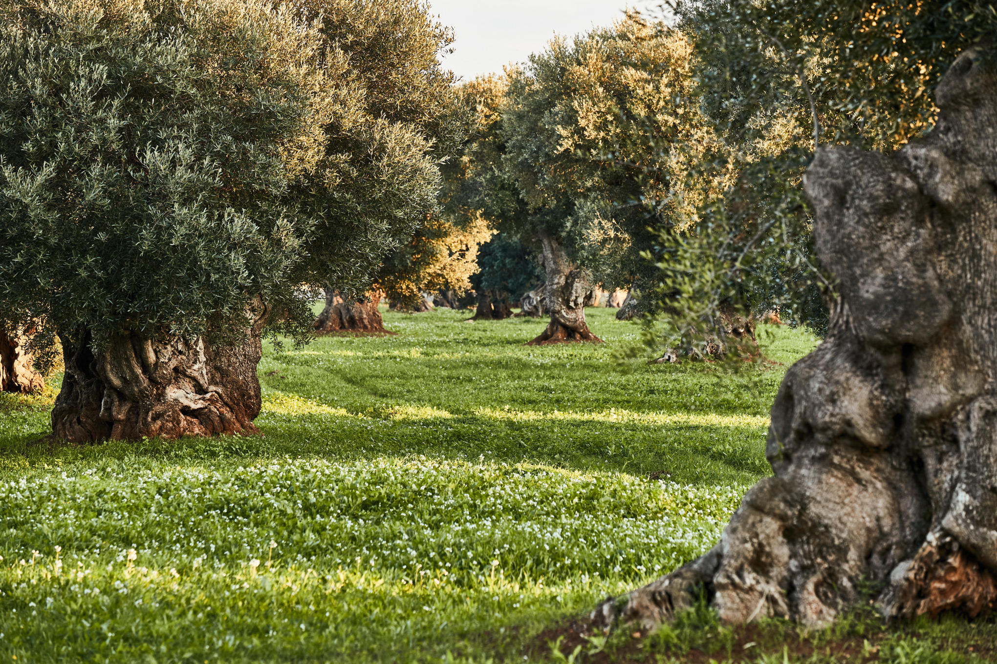 Retningslinjer for personvern Leverandører