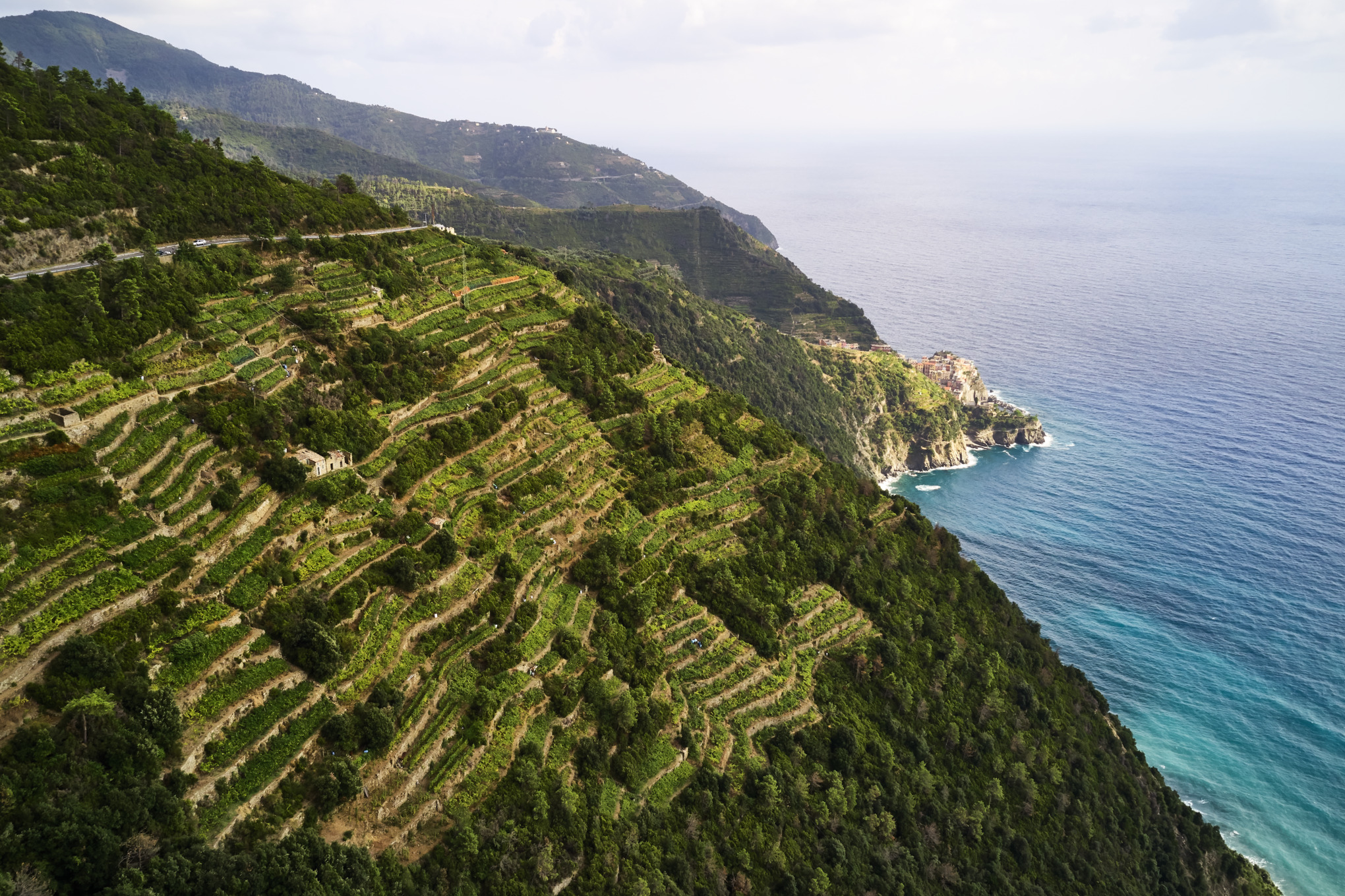 ET VERDENSOMSPENNENDE NETTVERK