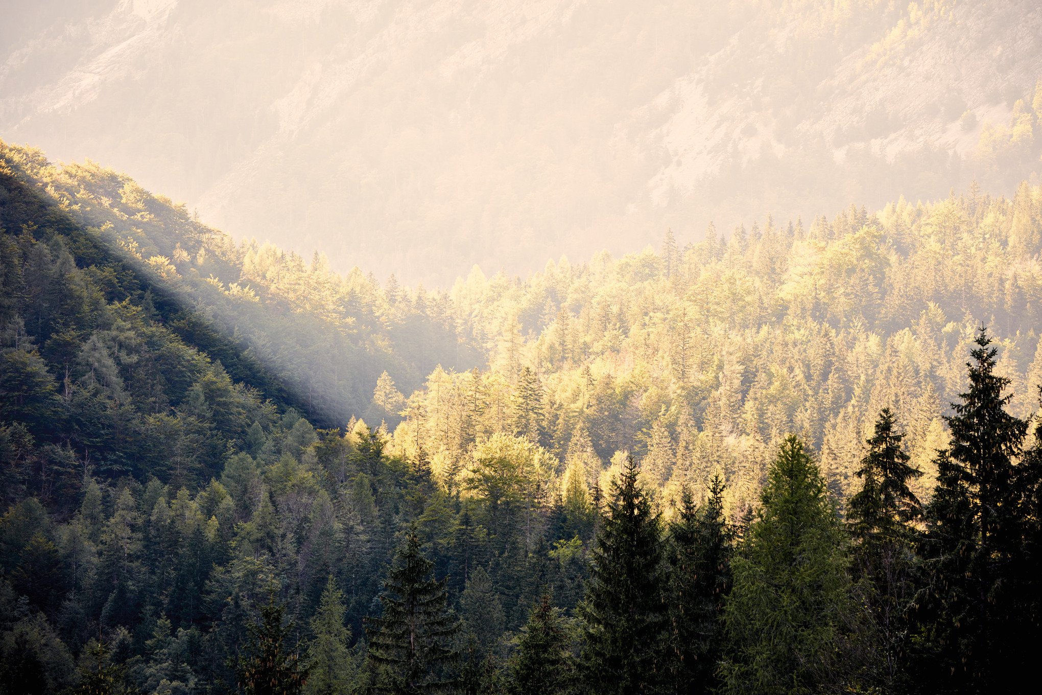 STIHL salgsselskaper over hele verden