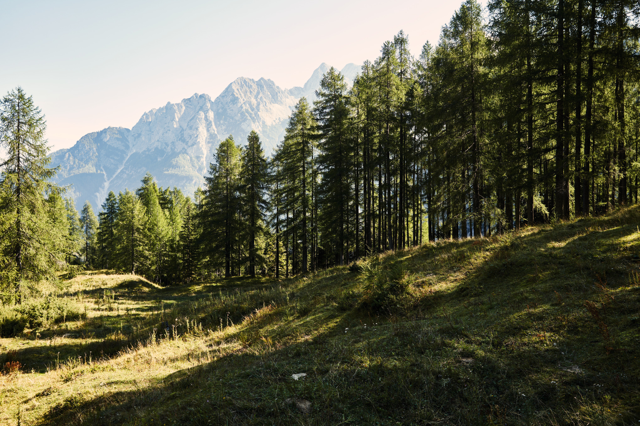 Informasjon til pressen