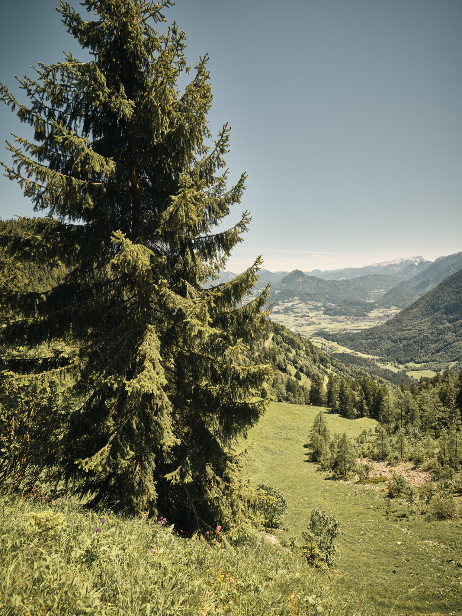 Strategi for bærekraft