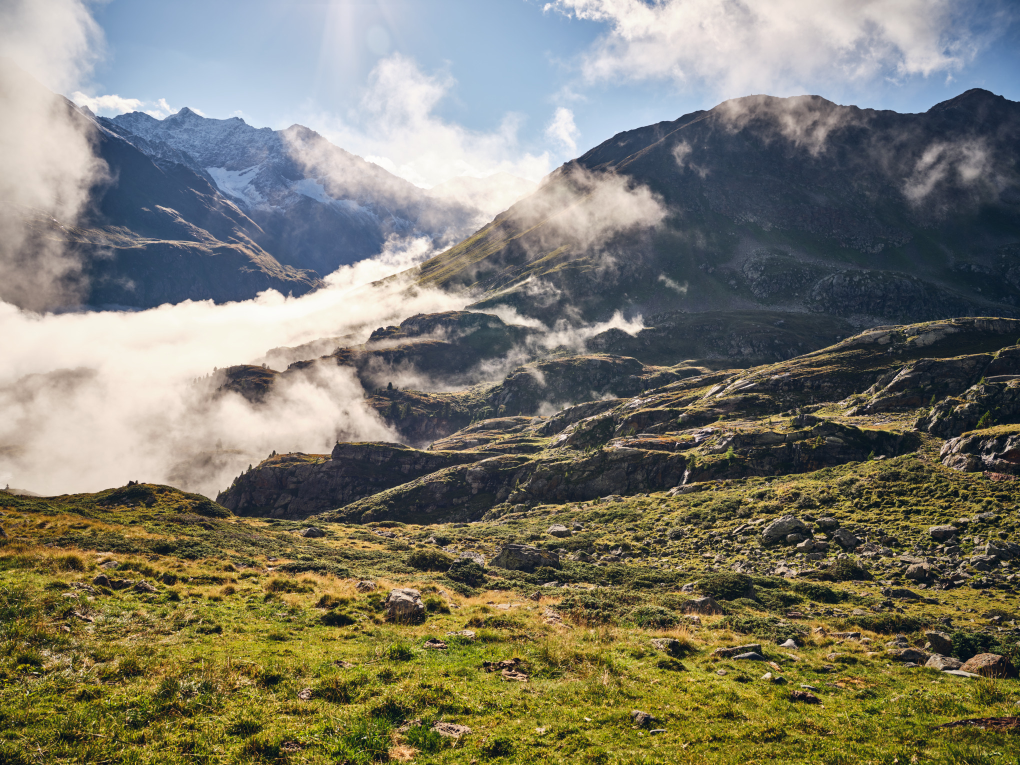 Internasjonal produksjon