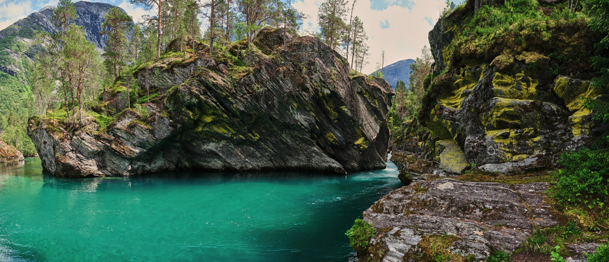 STIHLs salgsselskaper i Australia/Stillehavet